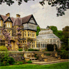 themanorooc: (pic#7225002)