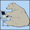 marcicat: (polar bear)