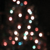 marcicat: (christmas tree 2010)