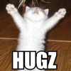 marcicat: (kitteh hugz)