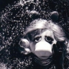 innocentsmith: miss piggy posing as a silent film goddess (muppets: miss piggy silent film goddess)