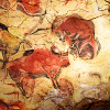 sholio: Prehistoric bison painting on a cave wall (Cave painting-Bison)