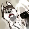ifnotloyal: (05 > what in the great dog is that!)