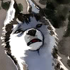 ifnotloyal: (13 > i am batman)