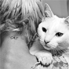dohremi: (Live - Cat)