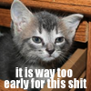 artemis10002000: (too early for this shit)