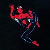 shutterbugged: (spidey: wallcrawler)