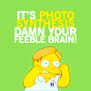 capri: (Simpsons: Damn Your Feeble Brain)