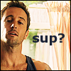 sinensis: Steve, looking interrogative (H50) (sup?)