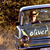 onceamy: Oliver the car, with Richard Hammond inside driving it across Botswana. The word 'Oliver' is in white text at the bottom (Oliver-1)