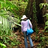 silmaril: Picture taken in the rainforest near Belem, Para, Brasil. (Travel)
