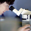 highfunctioning_sociopath: The Great Game (microscope)