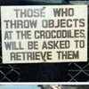 abouthalfthree: "Those who throw objects to the crocodiles will be asked to retrieve them." (Objects from Crocodiles)