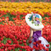 misbegotten: Walking in a field of tulips (Spring Tulips)