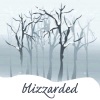 aldersprig: (blizzarded)
