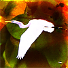 sonne_windsoul: (egret flying)