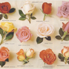 milkymoon: Roses laid out in neat rows. (A variety of roses.)