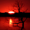 fireheart: (bloodsun)