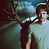 infomodder: fuck this stag (swiggity swag)