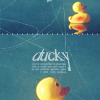 gossymer: (* just ducky)