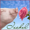 ixchel55: (ixchel-pig&rose)