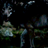 proteus: (pic#7405692)