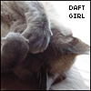 rusty76: kitty facepalm (daft girl)