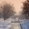 ancarett: (Winter snow)