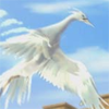 aria_ardeinae: (no egrets)