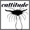 spikewriter: (cattitude by Caro)