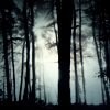 possibilityleft: (trees)