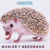 oursin: Picture of hedgehog labelled Oursin Hungry Hedgehog (hungry hedgehog)