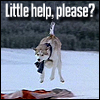 icepixie: ([DS] Dief parachute)