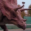 wildmage_daine: (dinosaur - triceratops)