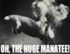 sidheblessed: (Huge manatee)