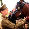 kerkevik_2014: For Friendship (War Horse)