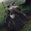 vlion: (wizard)