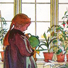 reynardine: (windowsill)
