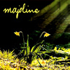 majoline: Two tiny yellow flowers and grass on a black background (personalized spring pic)