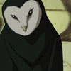 knowitowl: (ORLY?)