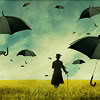 storms: ([misc] for you i would)