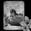 webbgirl: (H50_Danny_Surf)
