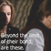 hawkwing_lb: (Bear CM beyond limit the of their bond a)