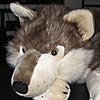 merik: (Cuddlekins Wolf)
