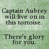 alcyone301: (aubrey's tortoise)