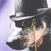 theleaveswant: dog wearing tophat and monocle (doggie detective)