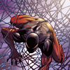 darkspider: ([scarlet spider] BIG WEB)