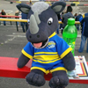 lilly_c: Ronnie The Rhino at a derby game at Odsal Top (Ronnie - balancing at odsal top)