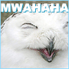 kyuohki: (owl_mwahahahaha!)