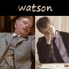 sally_maria: (Watson Multiverse)